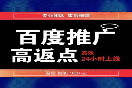 SEM外包策略在电商平台的成功案例